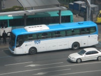 909번 - 버스 갤러리