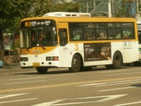 (재고사진) 사랑교통 3번 글로벌 900 마을버스 - 버스 갤러리
