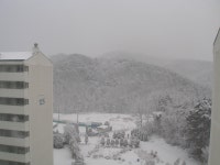 고속도로 천안분기점앞 목천부영아파트 잡사...(스압주의) - 철도(지하철) 갤러리