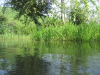 경산 낚갤러들 필독 [오목천 살인사건] - 낚시 갤러리