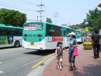 5.29 광주-양평찍고 온 사진(약 1주일 묵은짤..ㅠㅠ) - 버스 갤러리