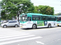 5.29 광주-양평찍고 온 사진(약 1주일 묵은짤..ㅠㅠ) - 버스 갤러리