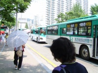 5.29 광주-양평찍고 온 사진(약 1주일 묵은짤..ㅠㅠ) - 버스 갤러리