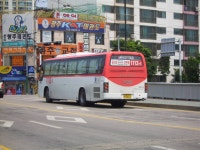5.29 광주-양평찍고 온 사진(약 1주일 묵은짤..ㅠㅠ) - 버스 갤러리