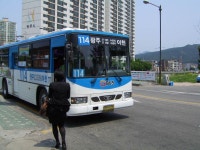 5.29 광주-양평찍고 온 사진(약 1주일 묵은짤..ㅠㅠ)(2) - 버스 갤러리