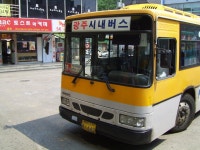 5.29 광주-양평찍고 온 사진(약 1주일 묵은짤..ㅠㅠ)(3) - 버스 갤러리