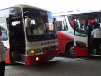 5.29 광주-양평찍고 온 사진(약 1주일 묵은짤..ㅠㅠ)(5) - 버스 갤러리