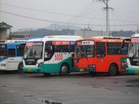 오늘 문산가서 찍은 사진들..(버스사진만..) - 버스 갤러리