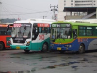 오늘 문산가서 찍은 사진들..(버스사진만..) - 버스 갤러리