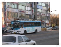 2010.2.5 일산동구청 - 버스 갤러리