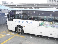 [사상텀,고령] 잡사 - 버스 갤러리