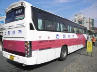[사상텀,고령] 잡사 - 버스 갤러리