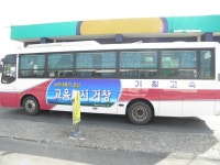 [사상텀,고령] 잡사 - 버스 갤러리
