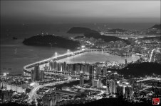 [D300] Monochrome. - COOL 갤러리