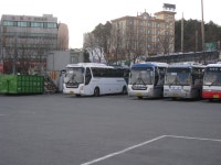 [강원/강릉] 고속터미널 잡사 - 버스 갤러리