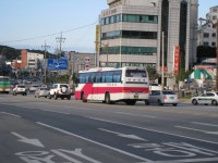 [강릉]강릉터미널 앞 잡사 - 버스 갤러리