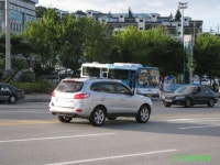 [강릉]강릉터미널 앞 잡사 - 버스 갤러리