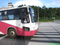 [강릉]강릉터미널 앞 잡사 - 버스 갤러리