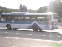 [강릉]강릉터미널 앞 잡사 - 버스 갤러리