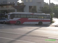 [강릉]강릉터미널 앞 잡사 - 버스 갤러리