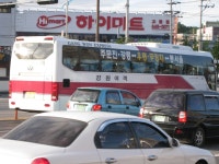 [강릉]강릉터미널 앞 잡사 - 버스 갤러리