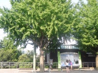 kenox-s1070 부산여행기 - 디지털카메라 갤러리