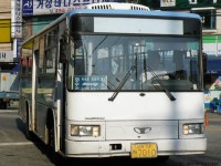 2009.08.15 - 철원출사(1) - 버스 갤러리