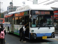 050번,303번,037번 - 버스 갤러리
