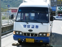 전국일주때 해남에서 찍었던 사진. - 버스 갤러리