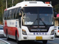 잡사모음 2 (10월 10일-10월 11일) - 버스 갤러리
