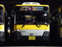 [안동,봉화,영주] 잡사 - 버스 갤러리  [안동,봉화,영주] 잡사 - 버스 갤러리