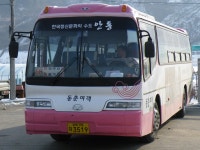 [안동,봉화,영주] 잡사 - 버스 갤러리  [안동,봉화,영주] 잡사 - 버스 갤러리