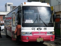 [청송,영덕,울진] 잡사 - 버스 갤러리