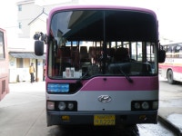 [청송,영덕,울진] 잡사 - 버스 갤러리