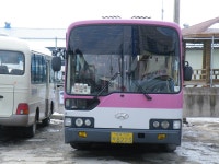 [청송,영덕,울진] 잡사 - 버스 갤러리