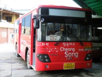 [청송,영덕,울진] 잡사 - 버스 갤러리