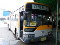 [청송,영덕,울진] 잡사 - 버스 갤러리