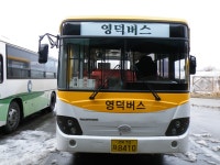 [청송,영덕,울진] 잡사 - 버스 갤러리