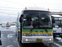 [청송,영덕,울진] 잡사 - 버스 갤러리