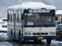 [청송,영덕,울진] 잡사 - 버스 갤러리