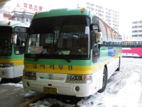 [청송,영덕,울진] 잡사 - 버스 갤러리