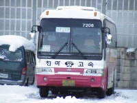 [청송,영덕,울진] 잡사 - 버스 갤러리