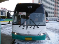 [청송,영덕,울진] 잡사 - 버스 갤러리