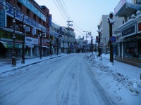 [청송,영덕,울진] 잡사 - 버스 갤러리