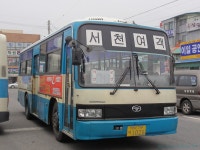 [서천/군산/부안] 새만금 (비응항 (가력도), 격포) 잡사 - 버스 갤러리
