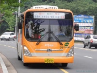 [서천/군산/부안] 새만금 (비응항 (가력도), 격포) 잡사 - 버스 갤러리