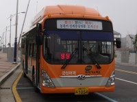 [서천/군산/부안] 새만금 (비응항 (가력도), 격포) 잡사 - 버스 갤러리