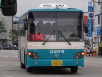 [서천/군산/부안] 새만금 (비응항 (가력도), 격포) 잡사 - 버스 갤러리