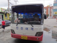 [서천/군산/부안] 새만금 (비응항 (가력도), 격포) 잡사 - 버스 갤러리