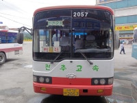 [서천/군산/부안] 새만금 (비응항 (가력도), 격포) 잡사 - 버스 갤러리